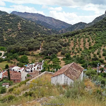El Nacimiento